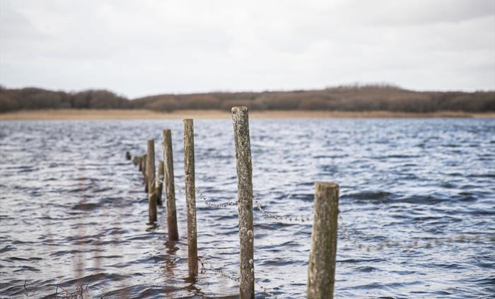 Kenfig NNR Pool